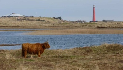 Radfahren in den Niederlanden. Blick in die Dünen